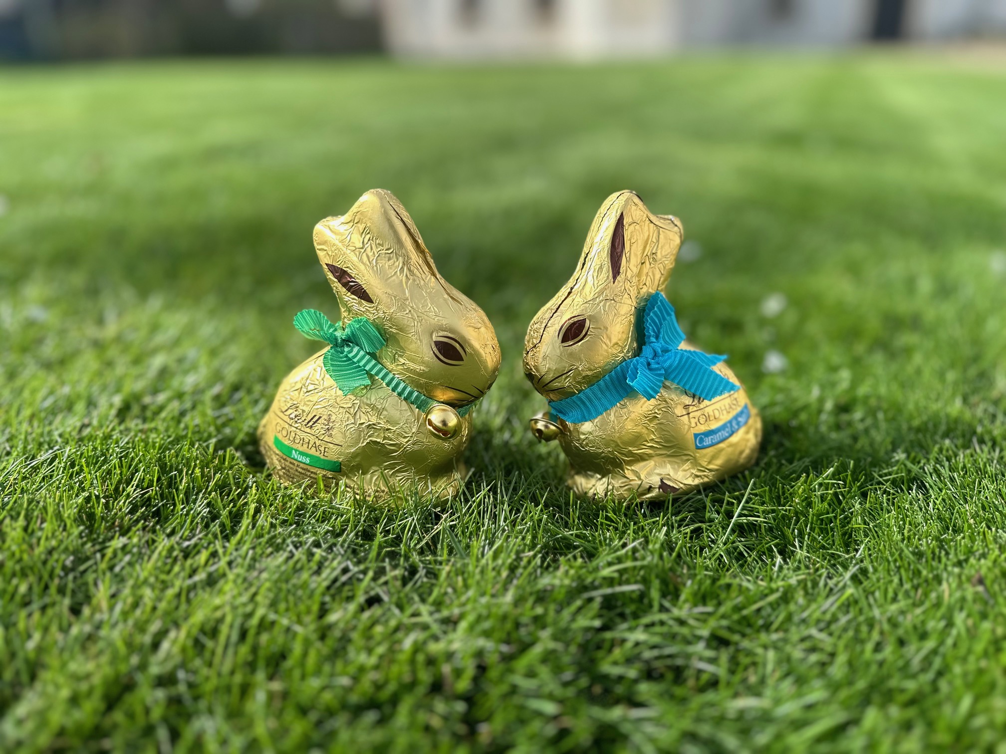 Frohe Ostern