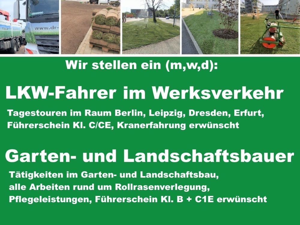 Freie Stellen