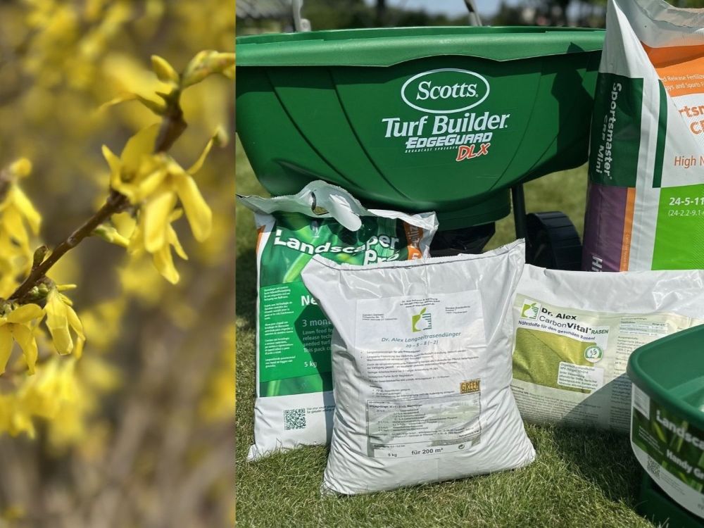 🌿 Perfekter Zeitpunkt für die erste Rasendüngung! 🌿