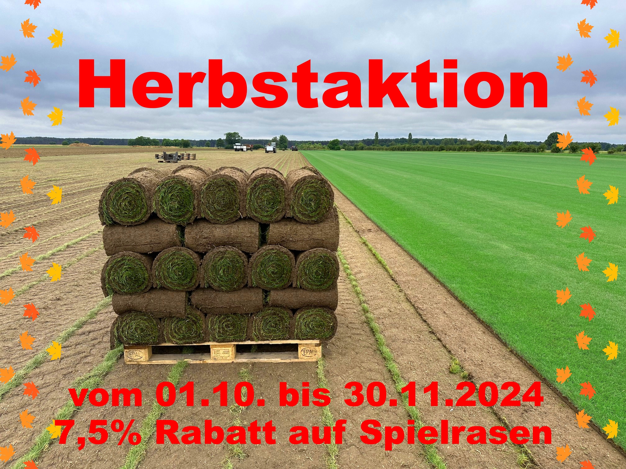Herbstaktion: 7,5% Rabatt auf Spielrasen